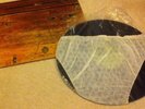 Alice Cooper 1972 Schools Out With Paper Pants Vg Condition