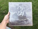 MICHAEL CHAPMAN fully qualified survivor '70 LP rare acid folk HARVEST