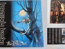 IRON MAIDEN - FEAR OF THE DARK (SPAIN) 140 79 9161 1 (1992) EX/EX