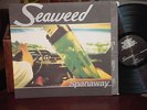 SEAWEED   SPANAWAY   1995 RECORD LP Punk EX+ / NM Promo NIRVANA Sub Pop TAD Paw