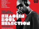 RZA ( Wu-Tang Clan) - Shaolin Soul Selection Vol. 1 Vinyl0950654 WU TANG