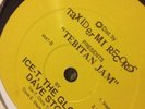 Ice T - Reckless / Tebitan Jam 12