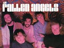 THE FALLEN ANGELS u.s. ROULETTE LP  SR-25358_rare PSYCH 1967