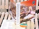 Led Zeppelin ?– Houses Of The Holy TOP MINT.