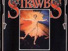 THE STRAWBS-GRAVE NEW WORLD-ORIGINAL LP ISSUED ON A & M RECORDS-WITH BOOKLET