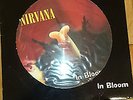 Nirvana In Bloom 12