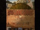 Me First And The Gimmie Gimmes Love Their Country Rare Yellow/Brown Vinyl
