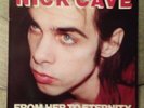 Nick Cave And The Bad Seeds From Her To Eternity Punk Lp Vinyl Grinderman
