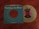 Ty Segall – My Sunshine 7