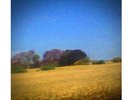 Sun Kil Moon - Benji - 2 x LP - CLEAR VINYL Sealed Out Of Print Mark Kozelek