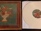 TY SEGALL Horn the Unicorn WHITE Vinyl LP Record NEW thee oh sees fuzz