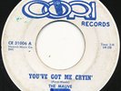 THE MAUVE on Cori --YOU'VE GOT ME CRYIN'-- 60s garage 45 | RARE | LISTEN