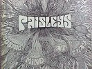The PAISLEYS Cosmic Mind At Play 1970.RARE PRIVATE ORIG. PSYCH.FUZZ GUITAR, LP