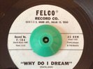 Soul Doo Wop R&B 45 The Saucers Why Do I Dream on Felco HEAR