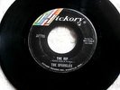 SPARKLES THE HIP IN DEMAND OH GIRLS GIRLS HICKORY 1364  GARAGE 45
