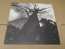 ONE EYED GOD PROPHECY S/T LP The Great American Steak Religion 1996 Econochrist