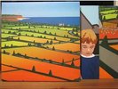 Very Rare - Lemon Jelly Lost Horizons Double Vinyl LP. Excellent condition.