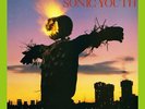 Sonic Youth - Bad Moon Rising BLACK 180 GRAM  Vinyl (2011) evol goo dirty sister