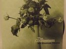 THE COURTEENERS NOT NINETEEN FOREVER 7