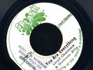 1318 LLOYD CHARMERS & HORTENSE ELLIS-YOU ARE EVERYTHING-SPLASH-REGGAE 45 7
