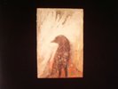 MELCHIOR, Dan - The Souls Of Birds & Mice - LP + MP3 download code