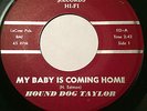 RARE BLACK ROCKER BLUES 45/HOUND DOG TAYLOR 