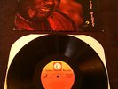 SONNY RHODES - DISCIPLE OF THE BLUES LP / U.S ICHIBAN WILD DOG SERIES