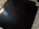BLACK MOTH SUPER RAINBOW - Psychic Love Damage EP LP  Original SEALED