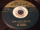 45 RPM Federal Records The Dominoes 12022 Sixty Minute Man / I Can't Escape You