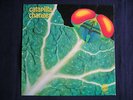 CATAPILLA changes Orig. GER '72 VERTIGO SWIRL BEN LEGEND CRESSIDA DRZ PATTO