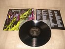 Indestroy - Indestroy LP (1987)Nuclear Assault - At War - Atrophy - Sacrilege BC