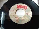 THE LITTER Somebody Help Me 45 rpm DJ Record Promo RARE Warick MN Garage