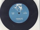 Chronic Sick - Reagan Bands / Crotch Rot - 7