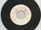 PETER TOSH & WAILERS / MAGA DOG / ROY RICHARDS & INVADERS / FAT DOG / 7''/ VG++