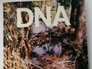 A Taste of DNA, Punk, 1981, Good Plus Condition