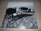 Mark Kozelek - The Finally LP (Sun Kil Moon, Red House Painters, Desertshore)