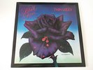 UK 1st Press Vertigo LP Thin Lizzy Black Rose A Rock Legend MINT- Great Copy