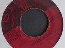 The Wailers rare vinyl 45  Shame & Scandal with Rolando Al - Sca-Balena ST 711