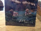 Sonic Youth - Murray Street LP NEW