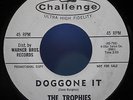 THE TROPHIES (Ricky Nelson & The Champs) 9133 DESIRE DOGGONE IT 7
