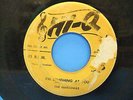 The Gardenias I'm Laughing At You / Houdini 50's 45 Single Hi-Q 5005 Toledo Ohio