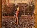 The Allman Brothers – Brothers and Sisters – Blues/Rock Vinyl LP with Insert