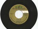 Rare 45 R&B/Doowop Norwood-105 Napolean Tyce/Grp  