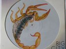 SCORPIONS UK 1984 PICTURE DISC 12