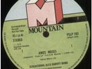 SENSATIONAL ALEX HARVEY BAND Amos Moses 12