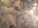 EX/EX  John Mayall/Blues From Laurel Canyon/1968 Decca Mono LP