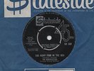 THE MARVELETTES-TOO MANY FISH IN THE SEA-STATESIDE.