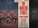  60s The Fabulous Echoes Band Lovin' Feeling Diamond Label 12