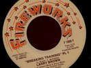 LARRY BROWN. BREAKING TRAINING PT. 1 / PT. 2. 45. NORTHERN SOUL