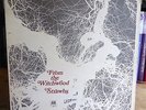 STRAWBS From The Witchwood UK 1st A1/B1 TRANS RED A&M LP